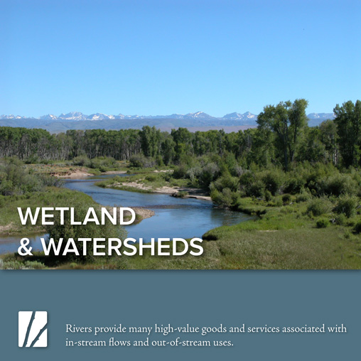 Wetlands and Watersheds