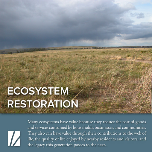 Ecosystem Restoration